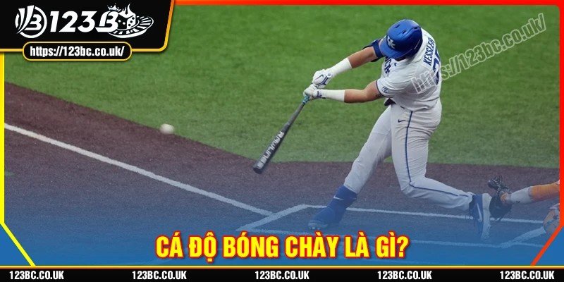 Cá độ bóng chày là gì?